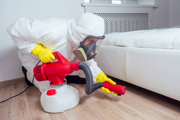 Wasp Removal Services in Struthers, OH